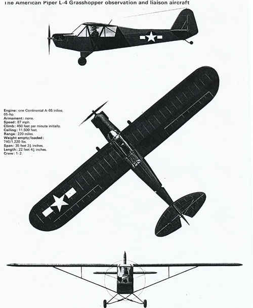 L4 Grasshopper.