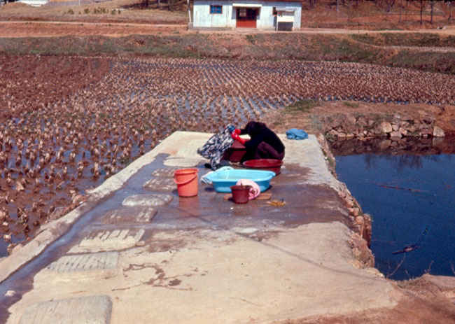 Korean laundromat 1973-1974. The Koreans did their laundry in the countryside on cement perforated slabs.