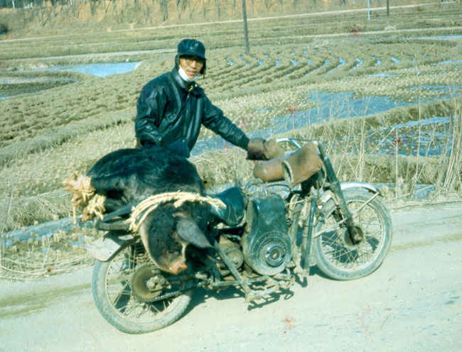 Korea Harley Hog 1973-1974. Notice the 250 pound hog on the back rack of the Motorcycle owned by  one of the locals.
