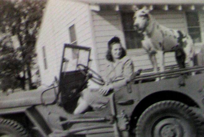 Robert's wife Ruth sitting a Jeep with the Captain's dog.