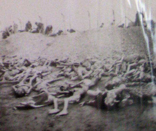 Dead bodies of Buchenwald holocaust victims.