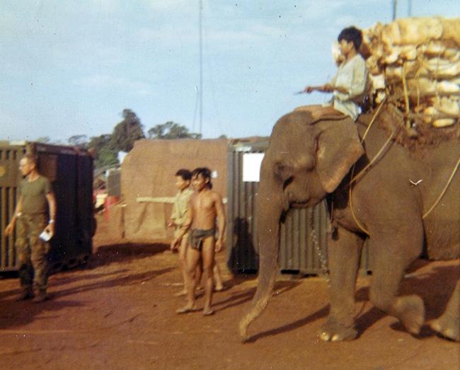 Vietnamese locals "Mountainards" using elephants to haul supplies.