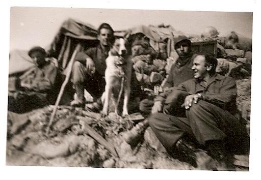 His combat brothers and another adopted dog.